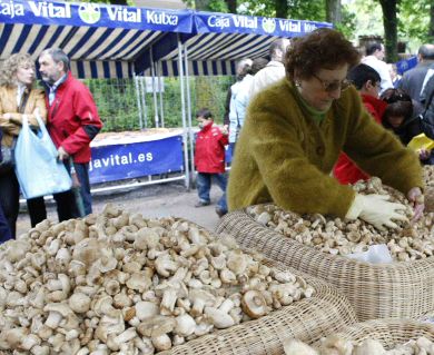 Venta de Perretxikos